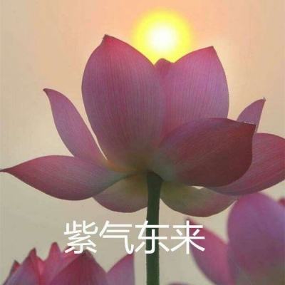 纵横无双公益服私服下载